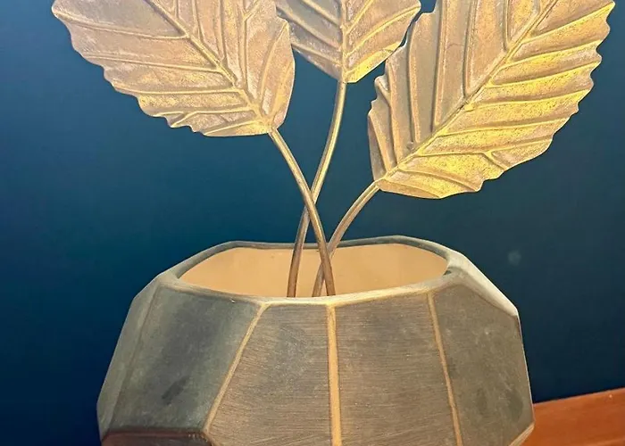 Esclusive * Comacchio