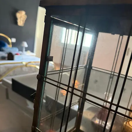 Esclusive * Comacchio