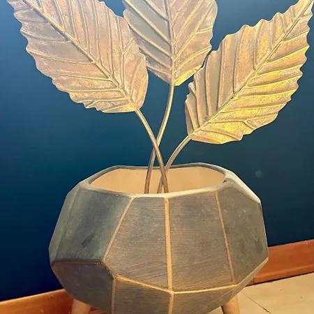 Esclusive * Comacchio